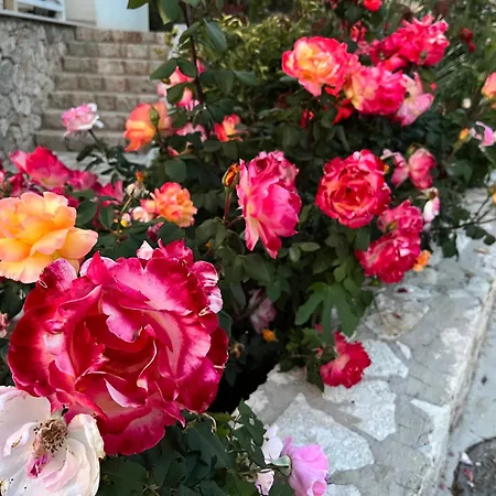 White Rocks Edera 2 I Apartman *