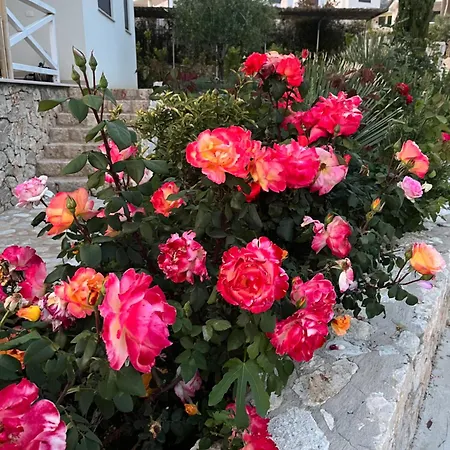 Apartment White Rocks Edera 2 I