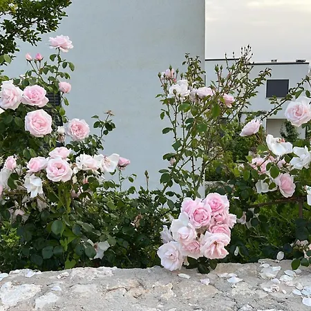 White Rocks Edera 2 I Апартаменты Дхерми