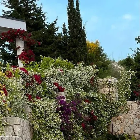 Apartment White Rocks Edera 2 I Dhermi